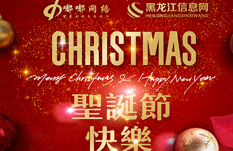 哈尔滨沈阳网络公司您圣诞快乐！